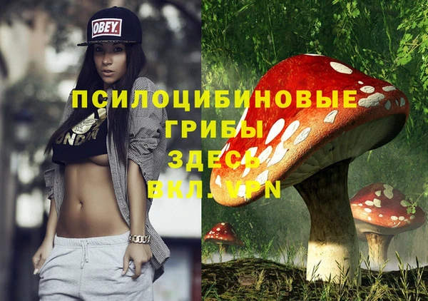 кристаллы Гусь-Хрустальный