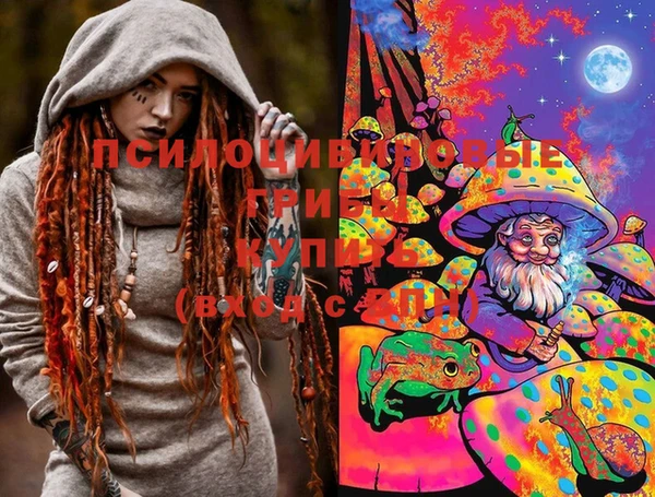 кристаллы Гусь-Хрустальный