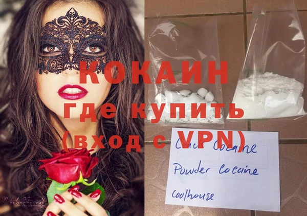 индика Магас